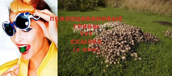 твердый Алексеевка