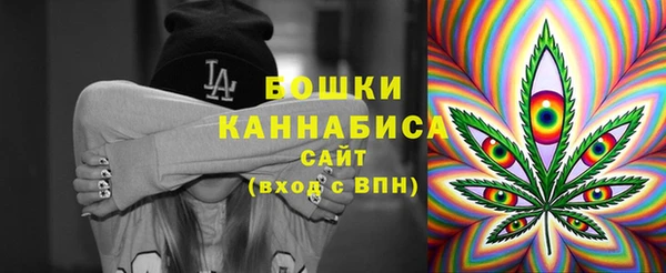 ГАЛЛЮЦИНОГЕННЫЕ ГРИБЫ Алзамай