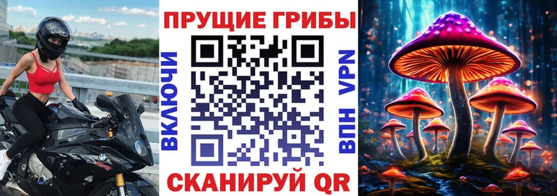 Псилоцибиновые грибы MAGIC MUSHROOMS Омск